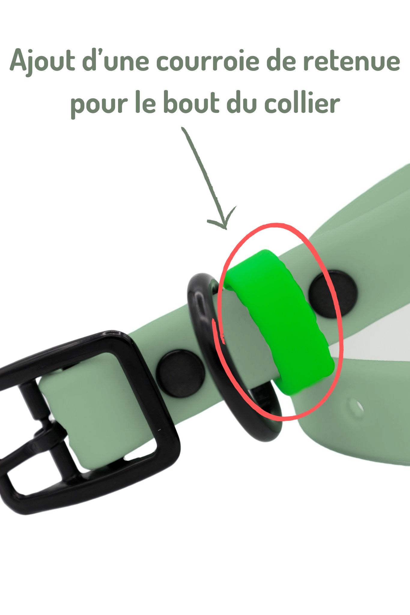 Collier Biothane vert – Espace canin Collier Biothane vert – Espace canin